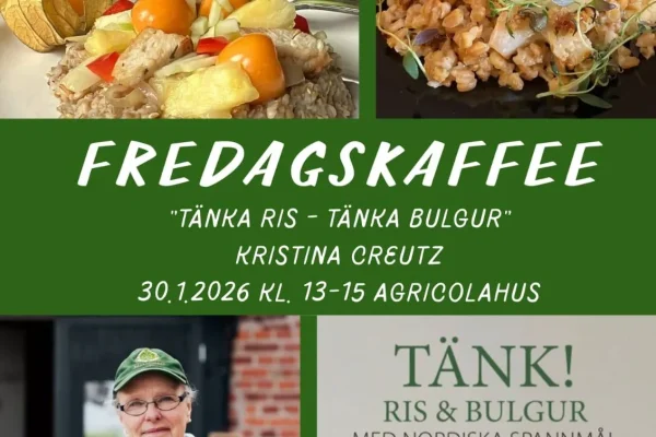 Fredagskaffee: Tänka ris – tänka bulgur